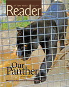 reader_panther