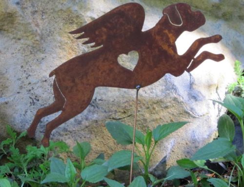 Boxer Helen returns as Boxer Pippa